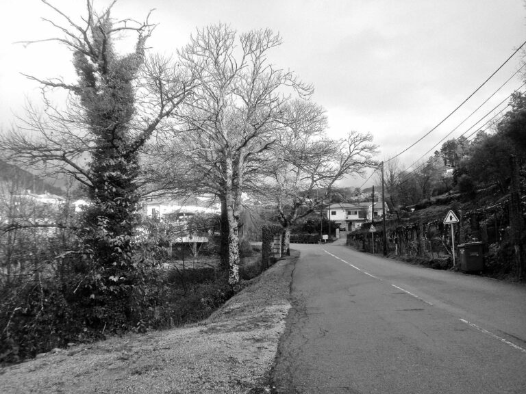 Candemil_34@DiogoMarinho